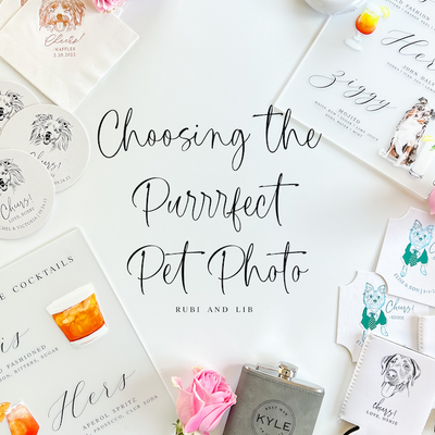 Choosing the Purrrfect Pet Photo for Custom Illustrations