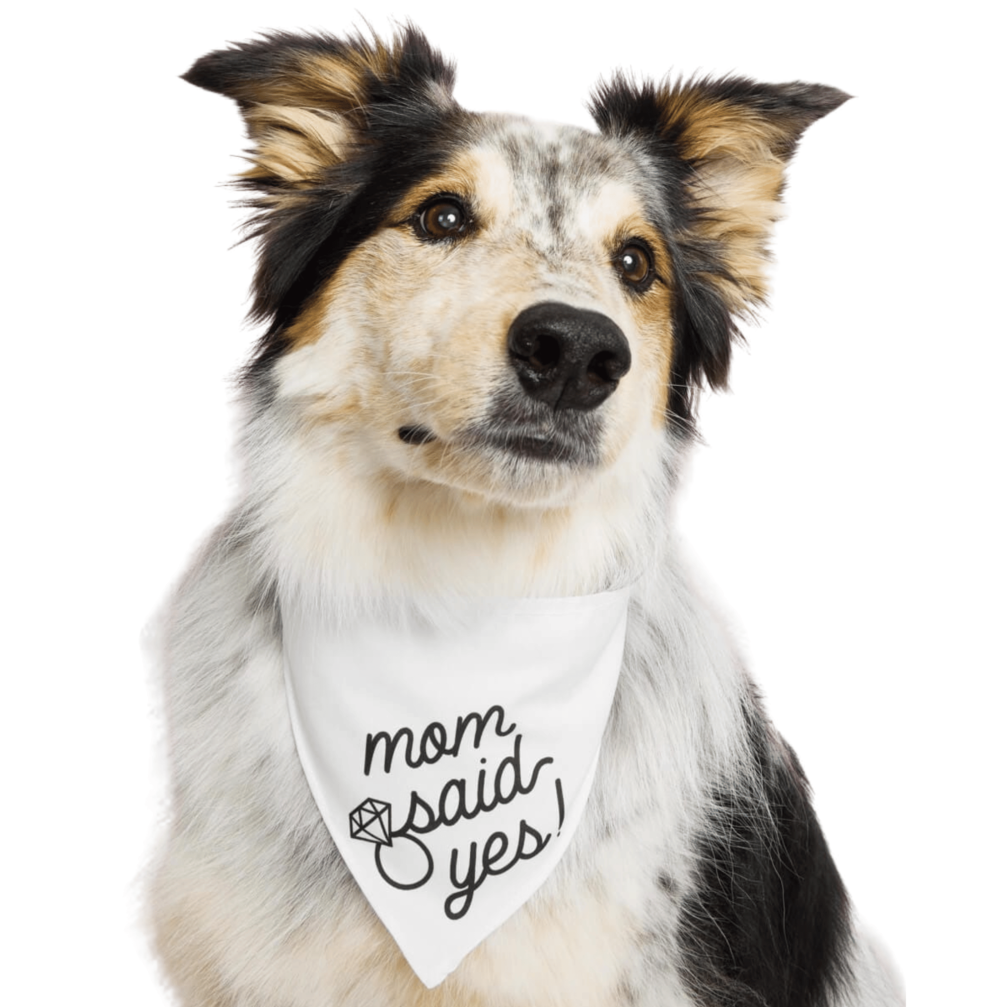 Mom Said Yes! Bandana - white pet bandana