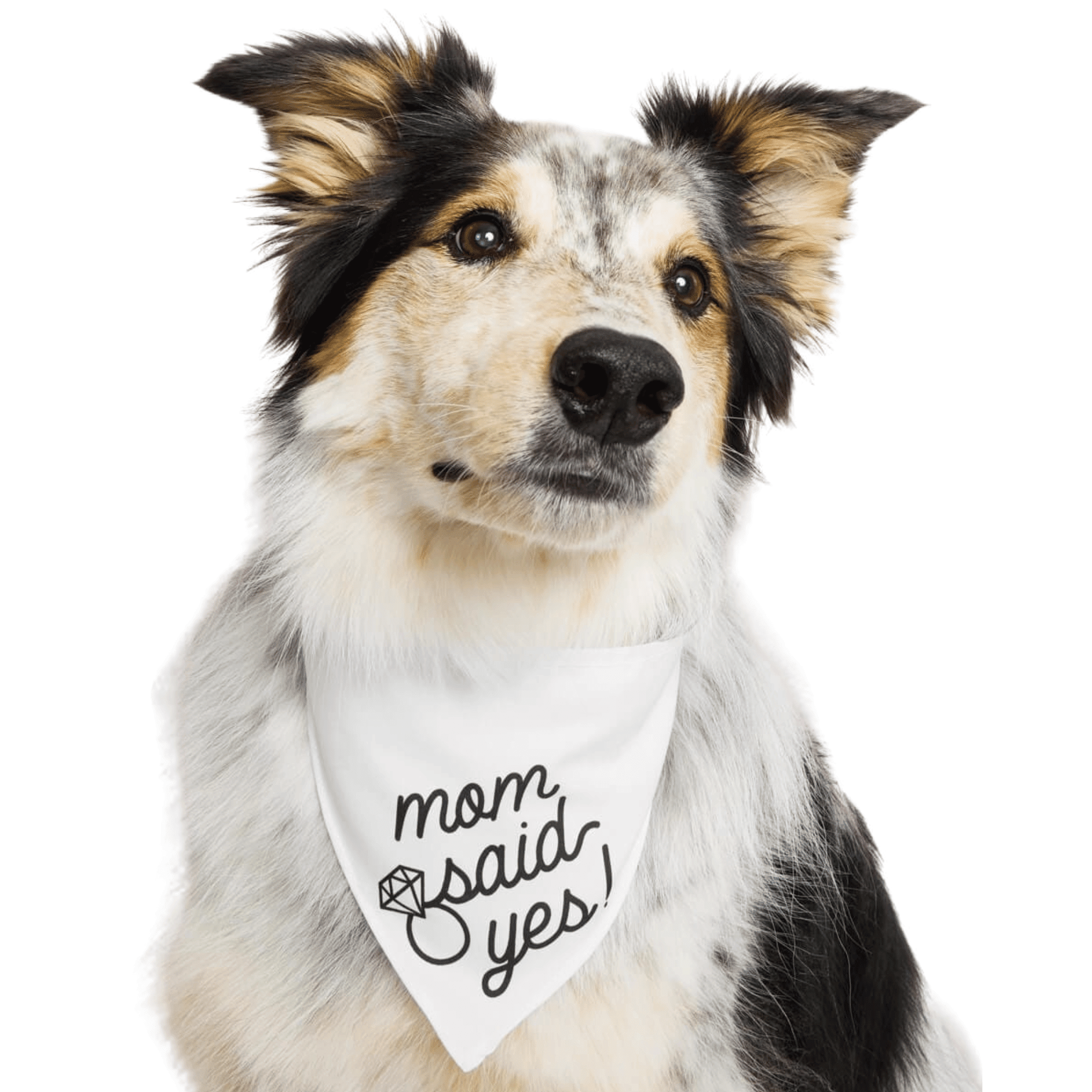 White pet bandana with "mom said yes" text worn by black and tan dog