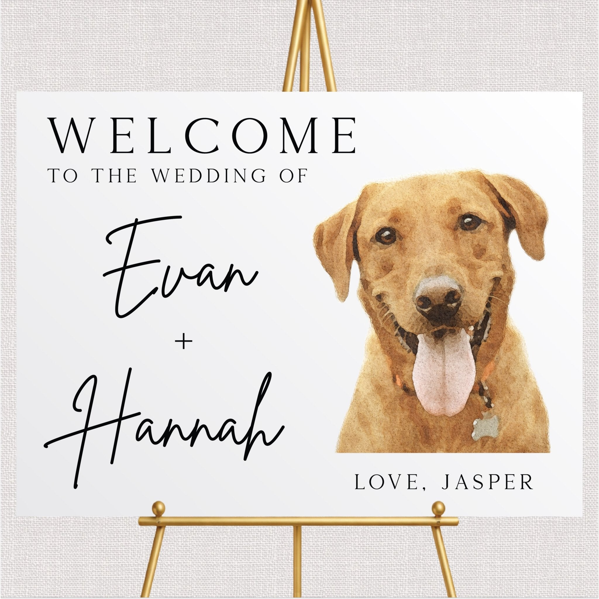 Custom Illustrated Pet Modern Welcome Sign - Landscape
