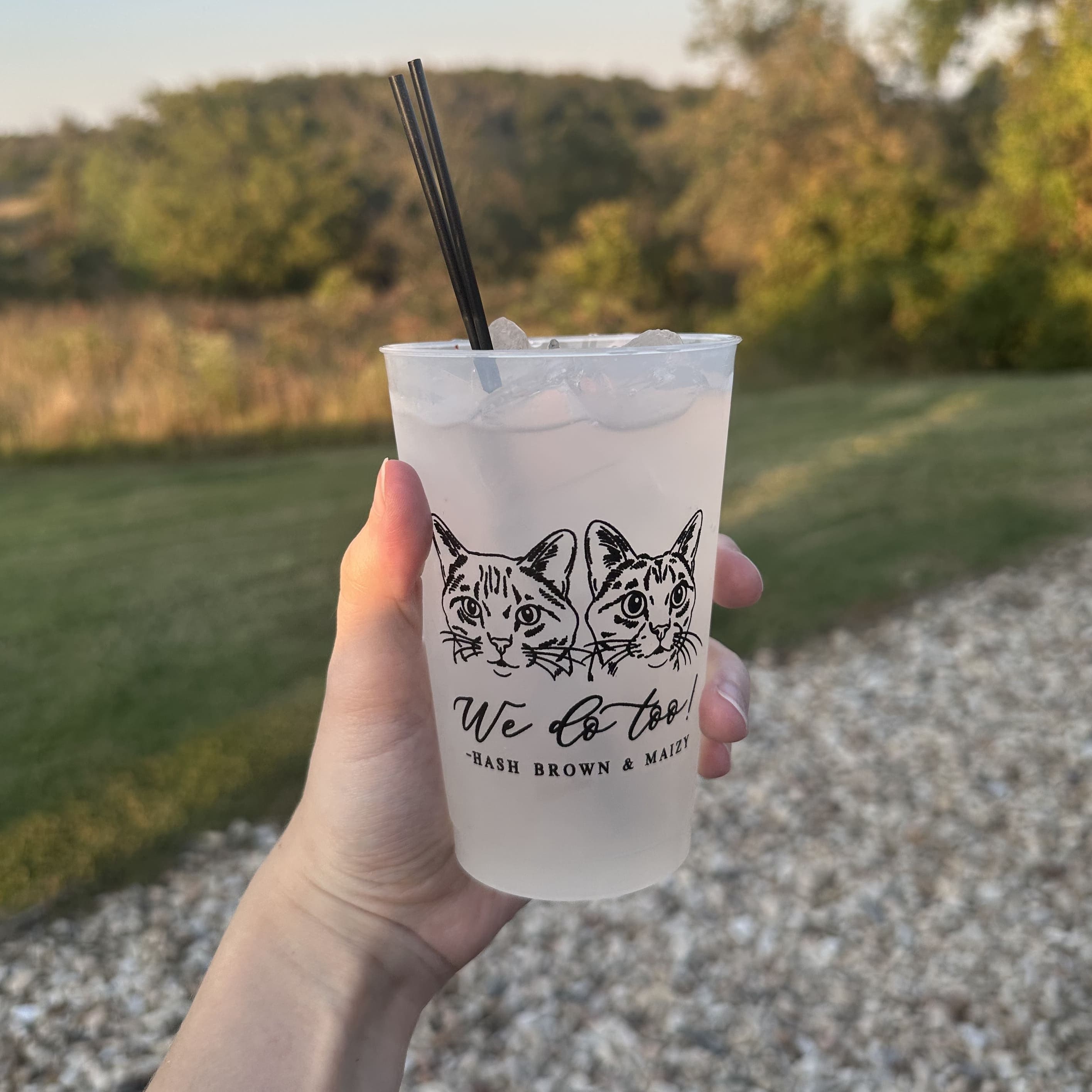 Illustrated Pet Wedding Frosted Plastic Cups