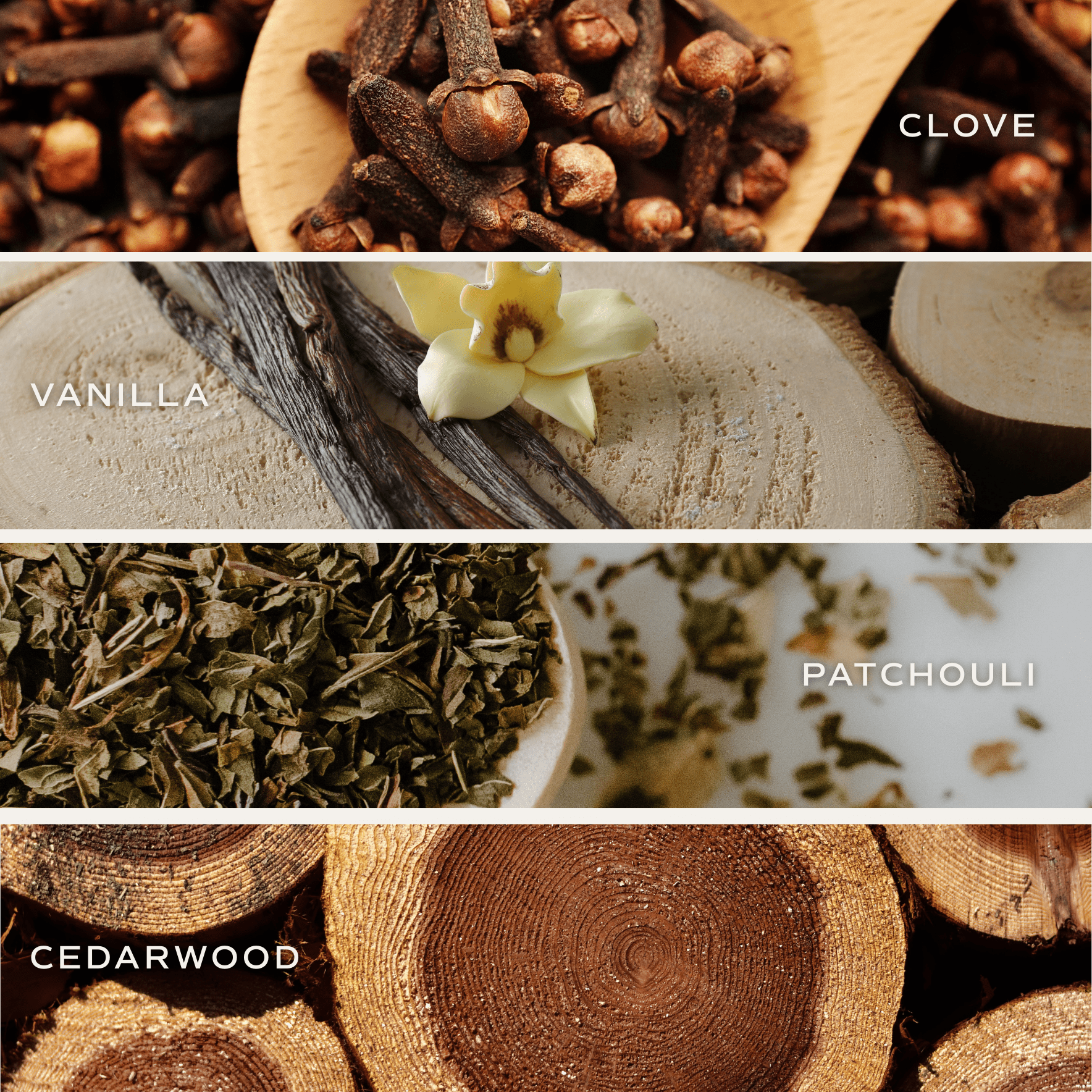 Collage showing candle scent ingredients: clove buds, vanilla flower, patchouli leaves, and cedarwood cross-sections with labels.