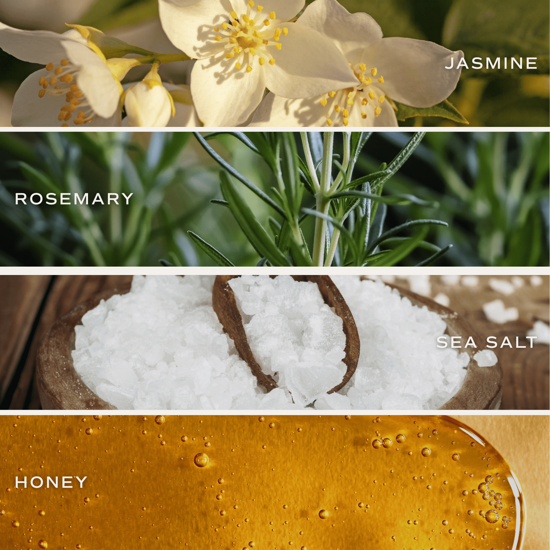 Four ingredient panels showing jasmine flowers, rosemary sprigs, sea salt crystals, and honey for In My Engaged Era soy candle in clear jar.