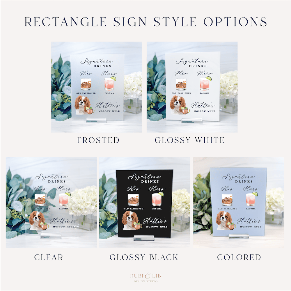 Rectangle sign style options display showing frosted, glossy white, clear, glossy black, and colored finishes with personalized pet illustration and drink menu text.