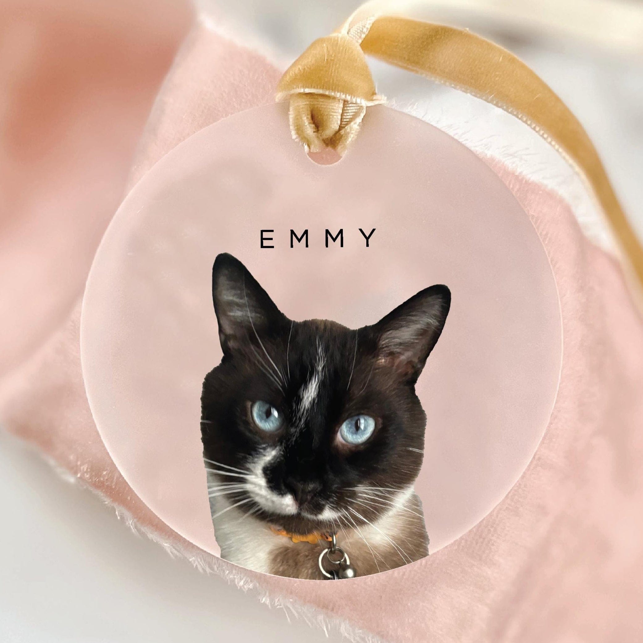 Frosted Pet Photo Ornament