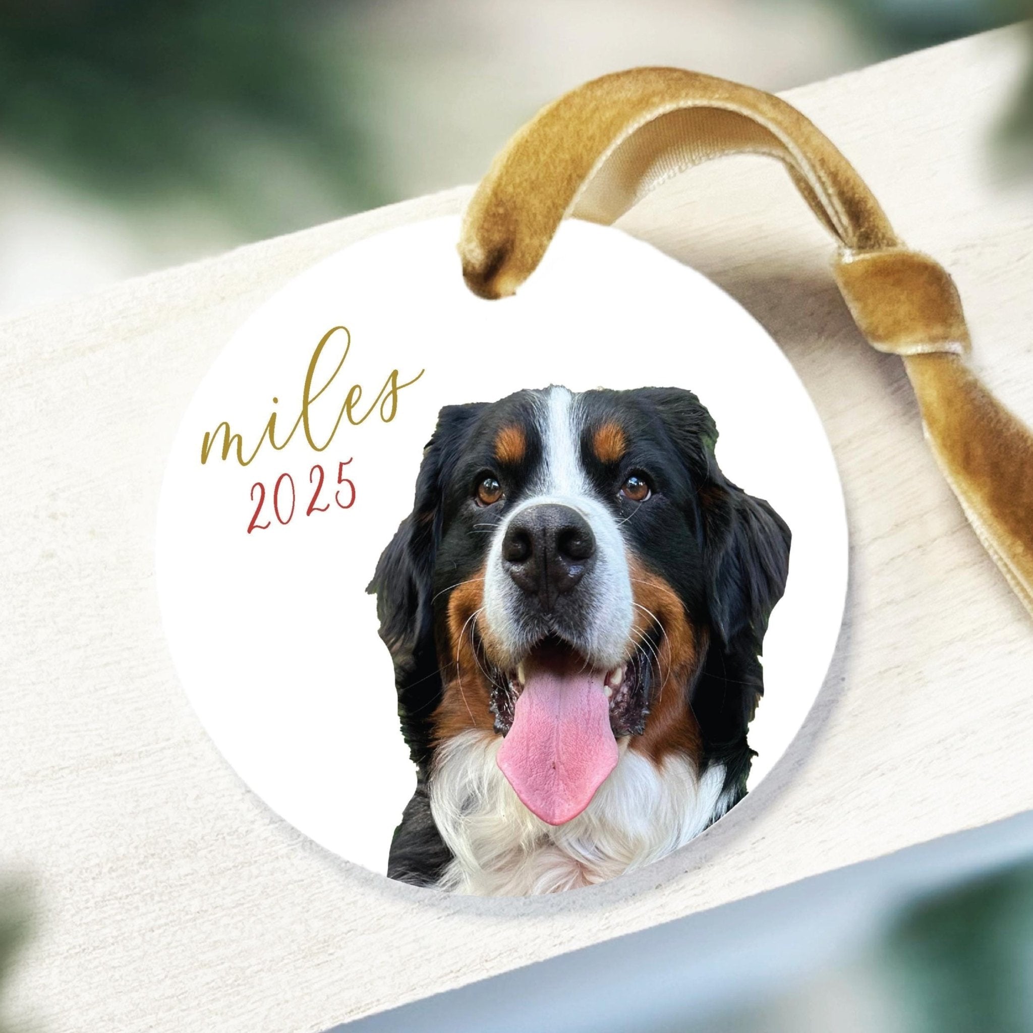 White acrylic ornament with photo of black and white dog with tongue out, personalized with "miles 2025" in gold text and tan ribbon loop.