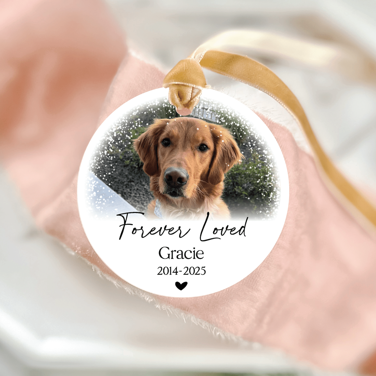 Clear acrylic ornament with golden ribbon featuring brown dog photo, "Forever Loved Gracie 2004-2025" text and small heart.