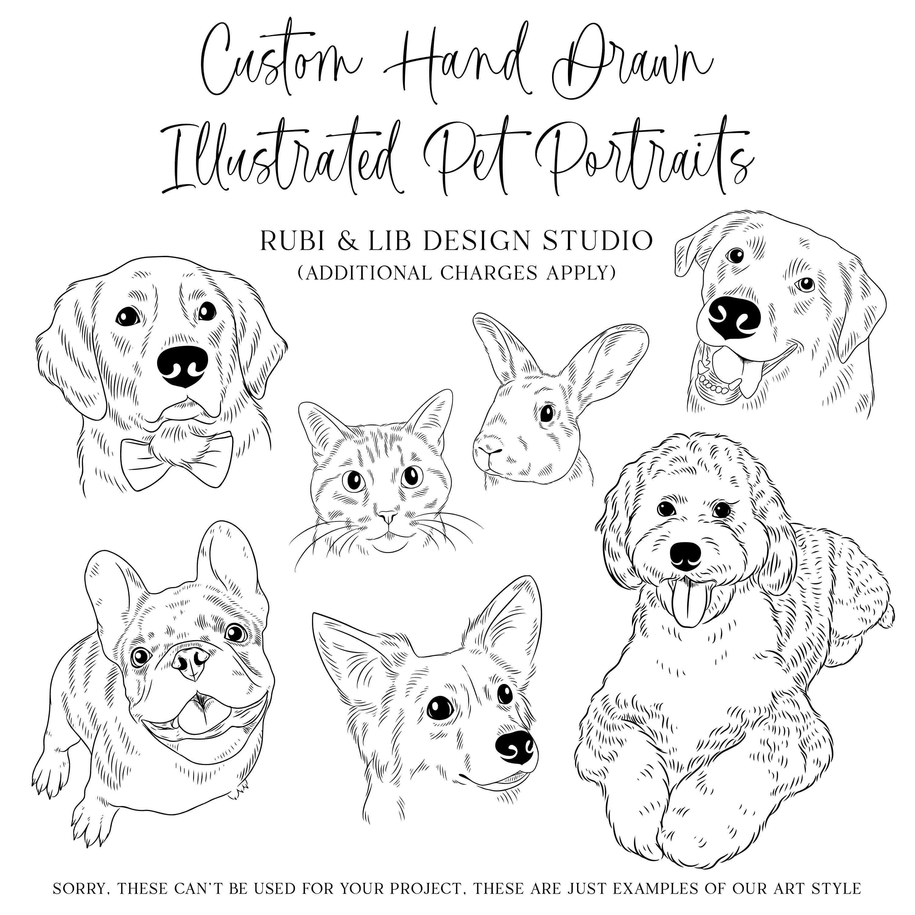 A collage of custom hand-drawn pet portraits featuring line art illustrations of various dog breeds including a golden retriever, french bulldog, corgi, and poodle-mix, alongside a cat and a rabbit, showcasing the unique art style for personalized pet artwork.