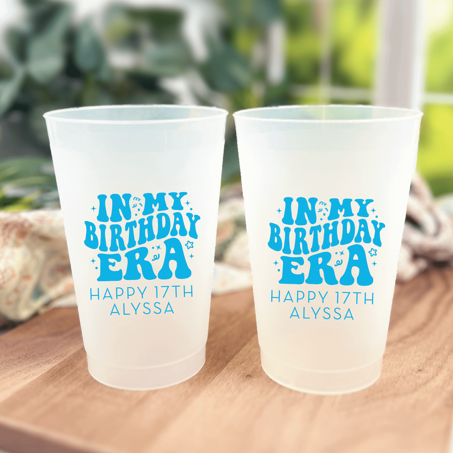 Birthday Era Party Frosted Plastic Cups