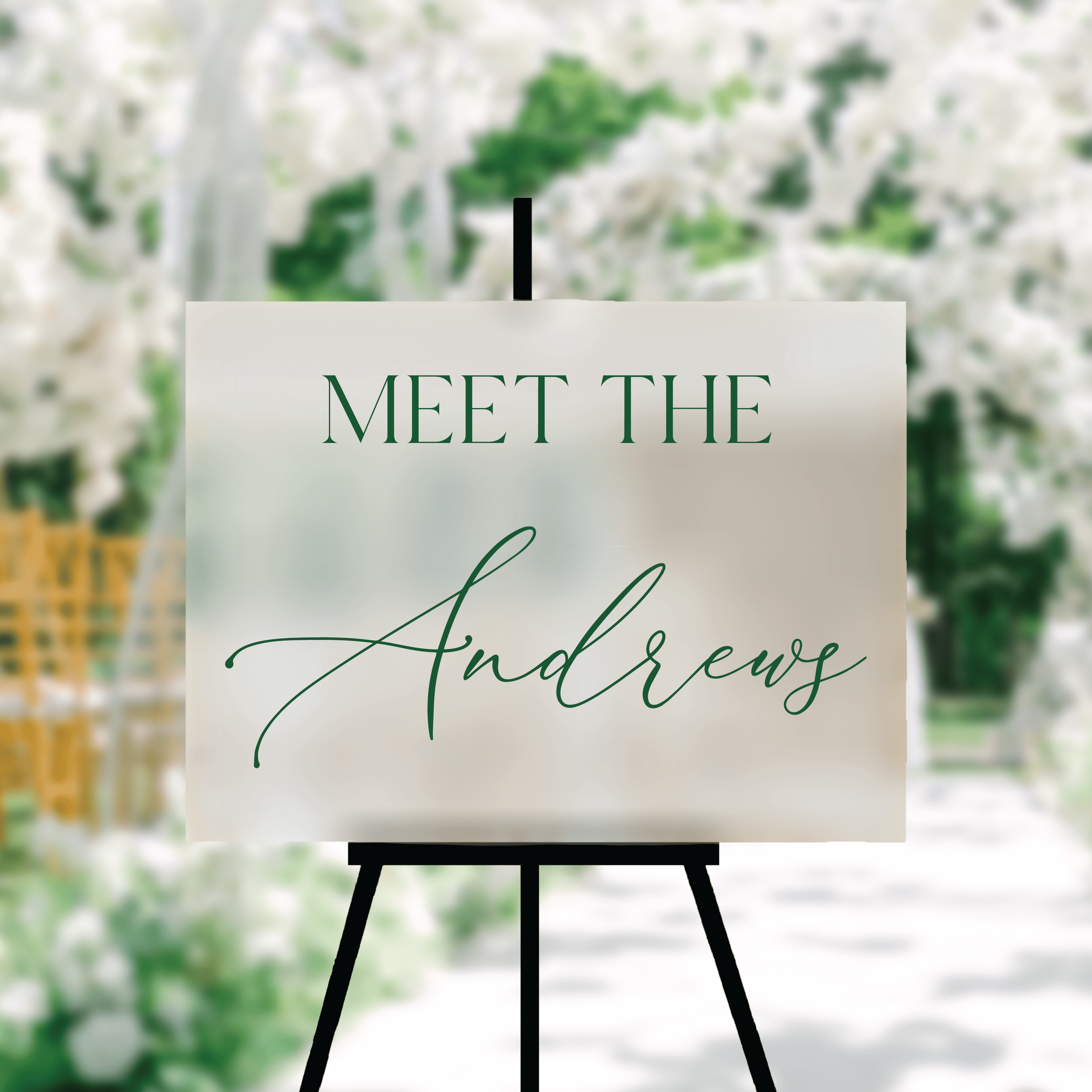 Meet The Couple Wedding Welcome Sign - Welcome Sign