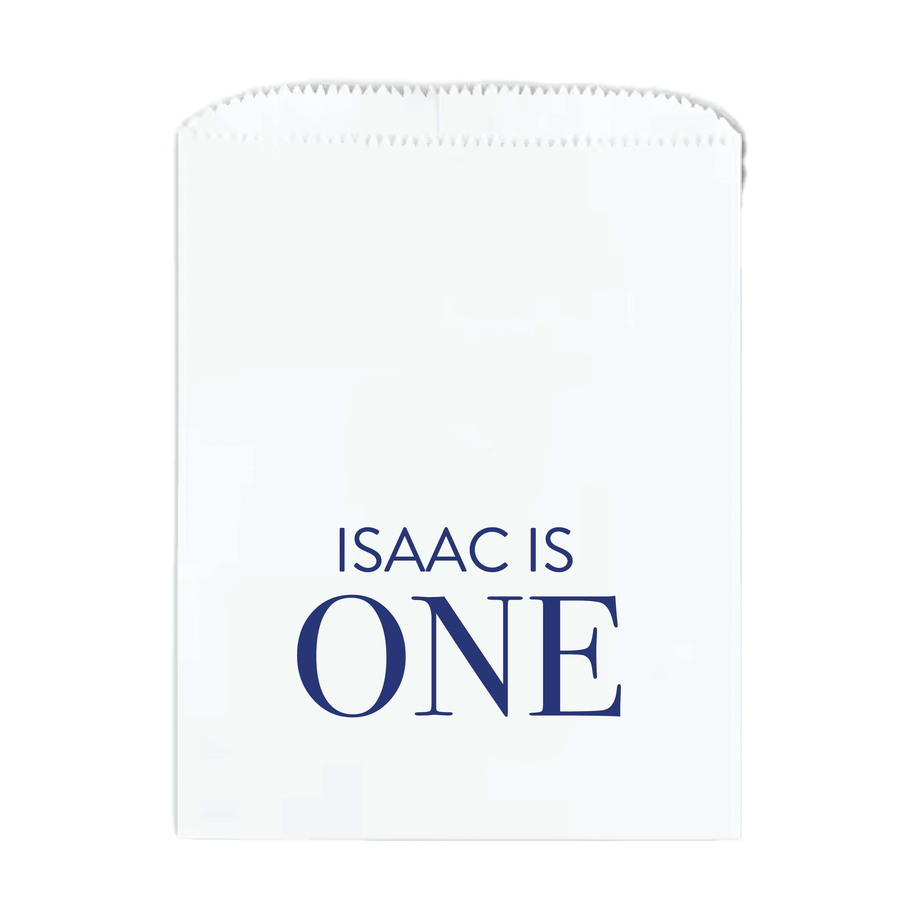 Two Cool Kids Birthday Party Favor Treat Bags