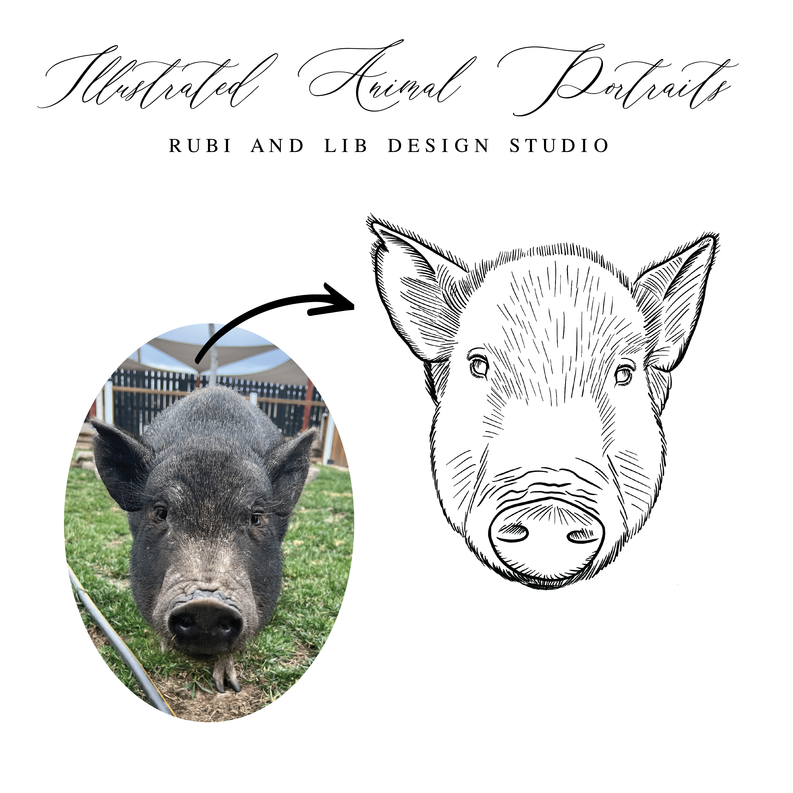 Hand Drawn Animal Portrait - Extended License - Artwork