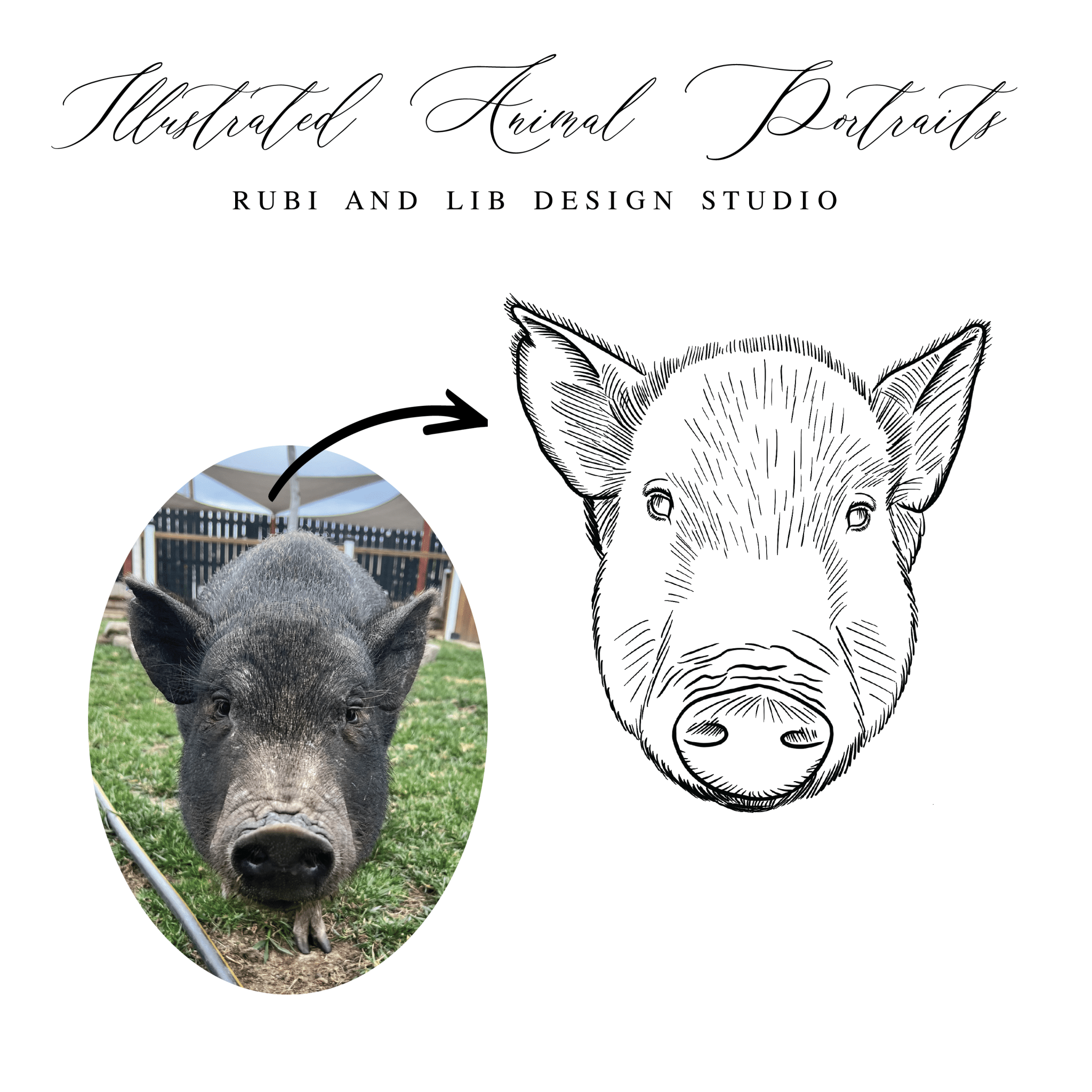 Hand Drawn Animal Portrait - Extended License - Artwork