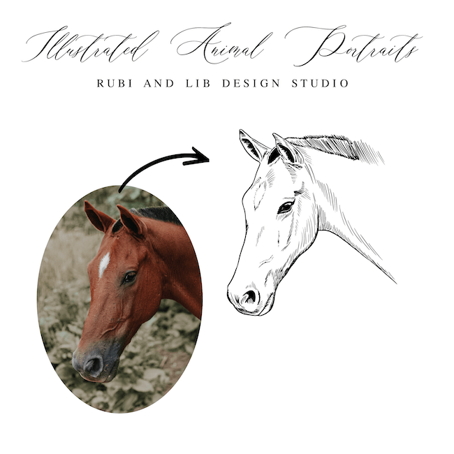 Hand Drawn Animal Portrait - Extended License - Artwork