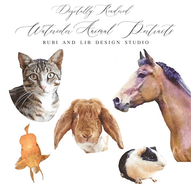 Digital Watercolor Rendering Animal Portrait - Artwork