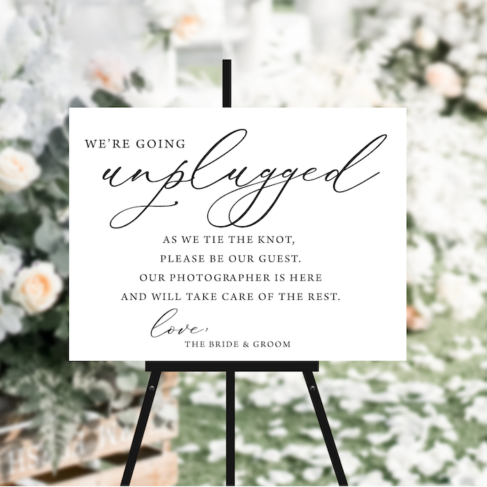 Pick a Seat Not A Side Unplugged Wedding Ceremony Sign – Rubi and