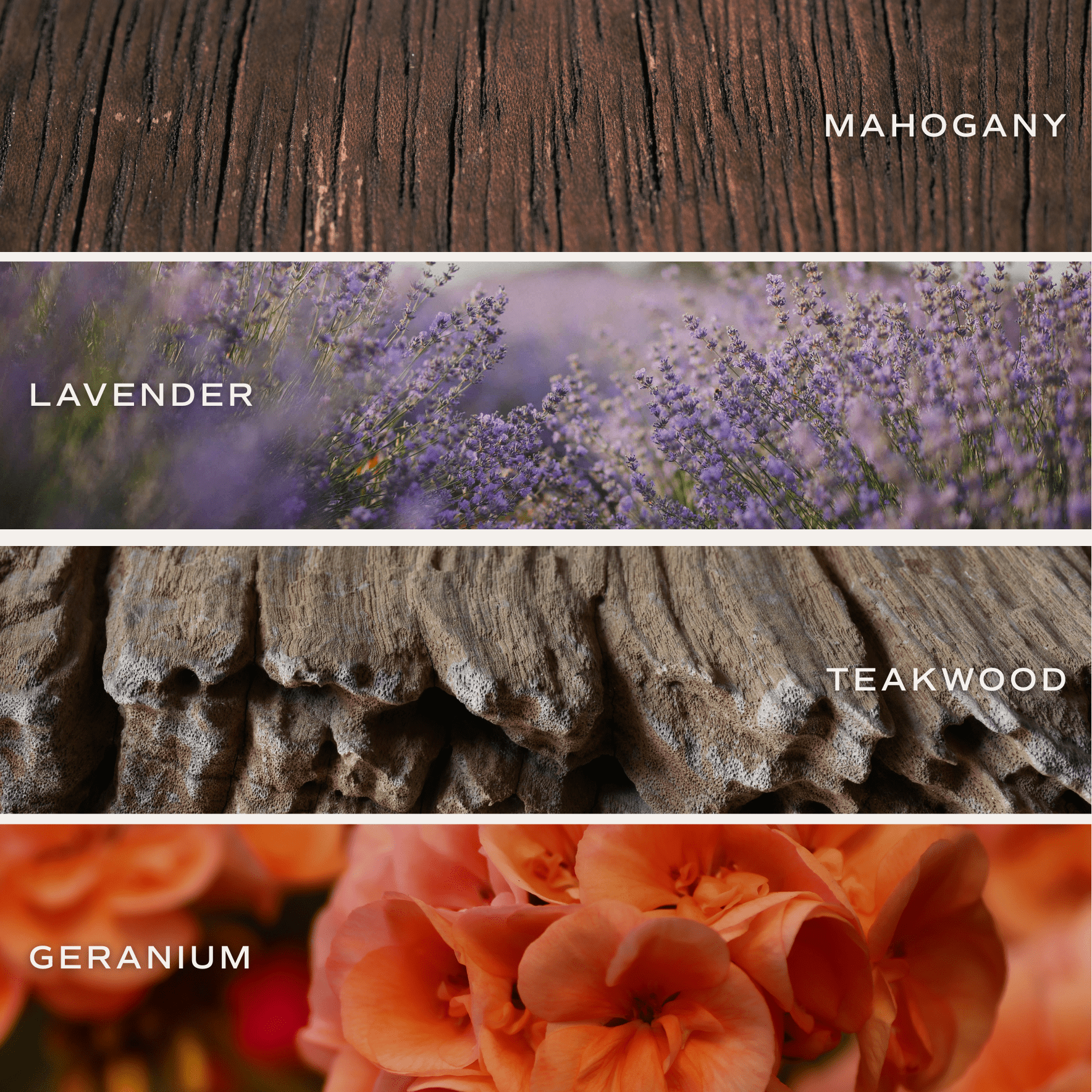 Color swatch display showing mahogany wood, lavender flowers, teakwood texture, and geranium blooms for candle fragrance options.