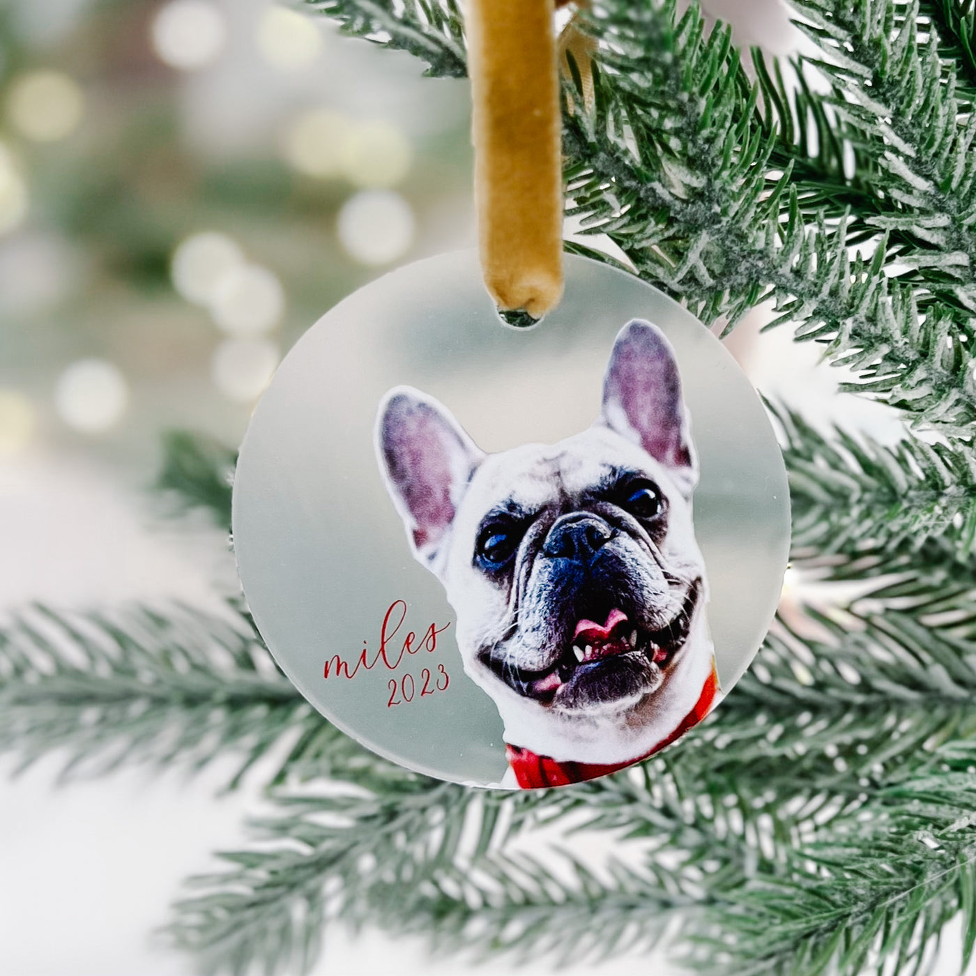 Simple Pet Photo Christmas Ornament