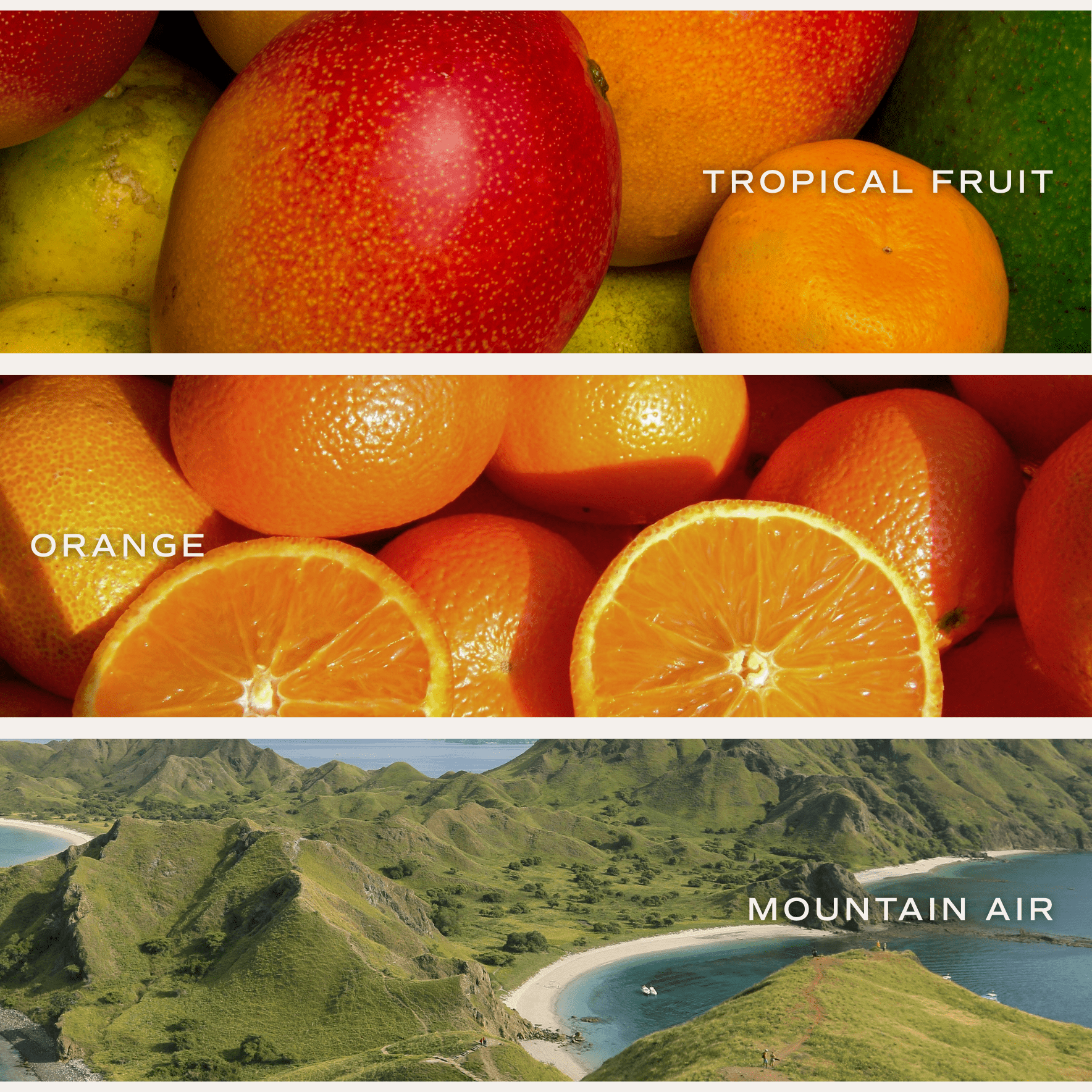 Clear glass jar soy candle with tropical fruit, orange, and mountain air label designs in vibrant colors.