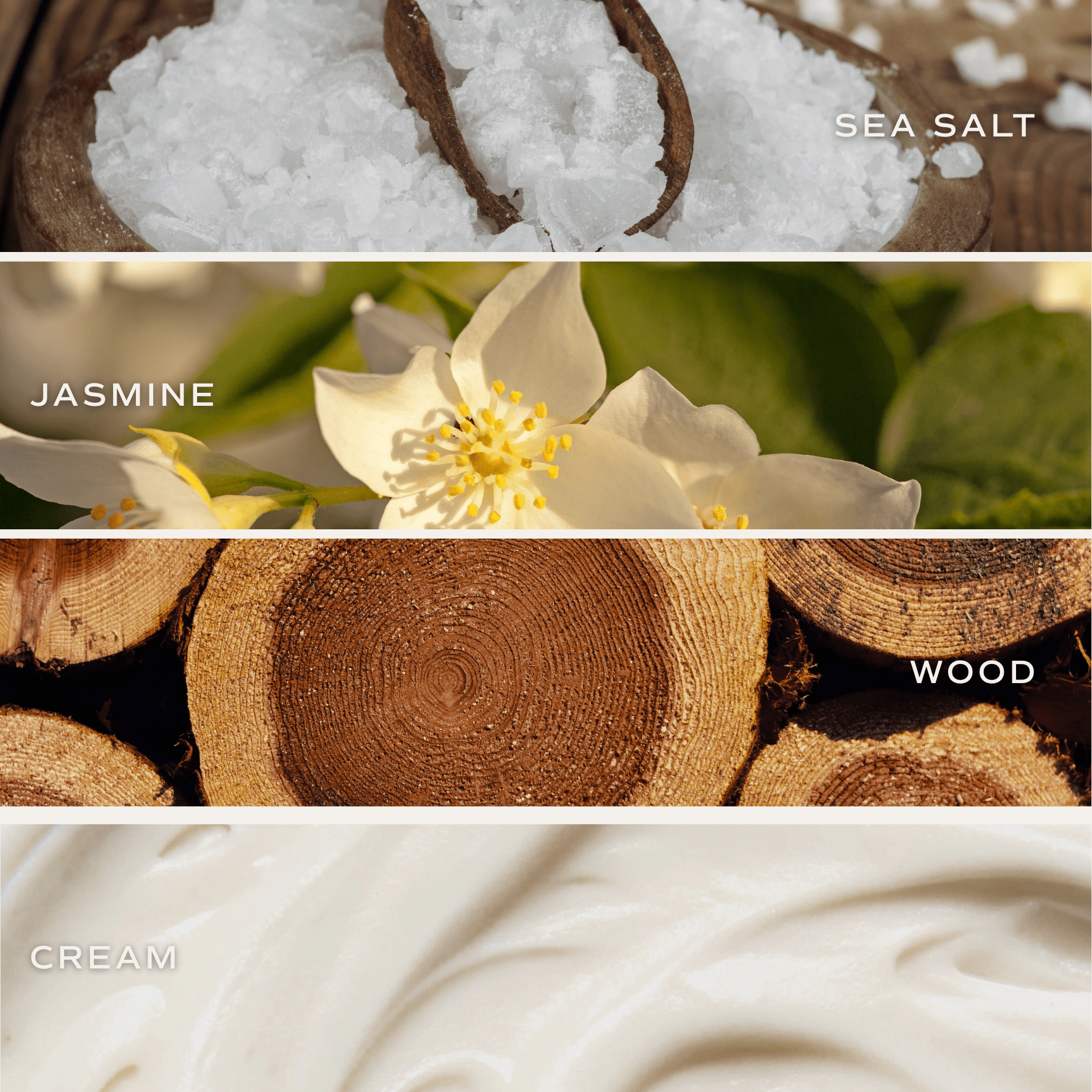 Clear glass jar candle with sea salt, jasmine, wood, and cream scent elements shown in split image design.