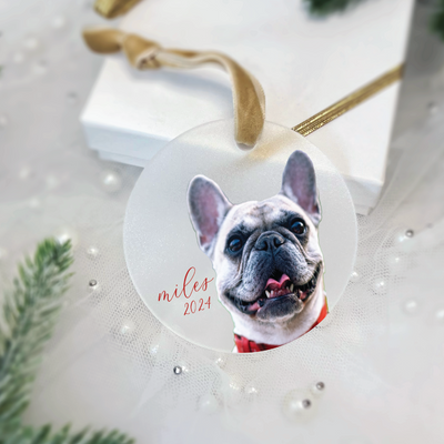 Simple Pet Photo Christmas Ornament