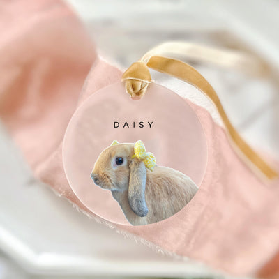 Frosted Pet Photo Ornament