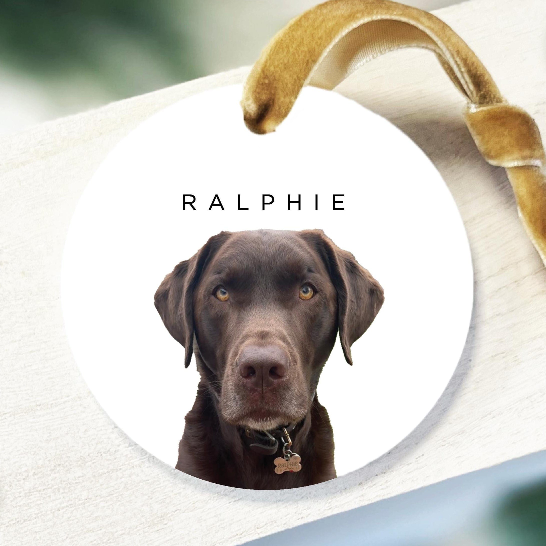 Minimalist Pet Photo Ornament