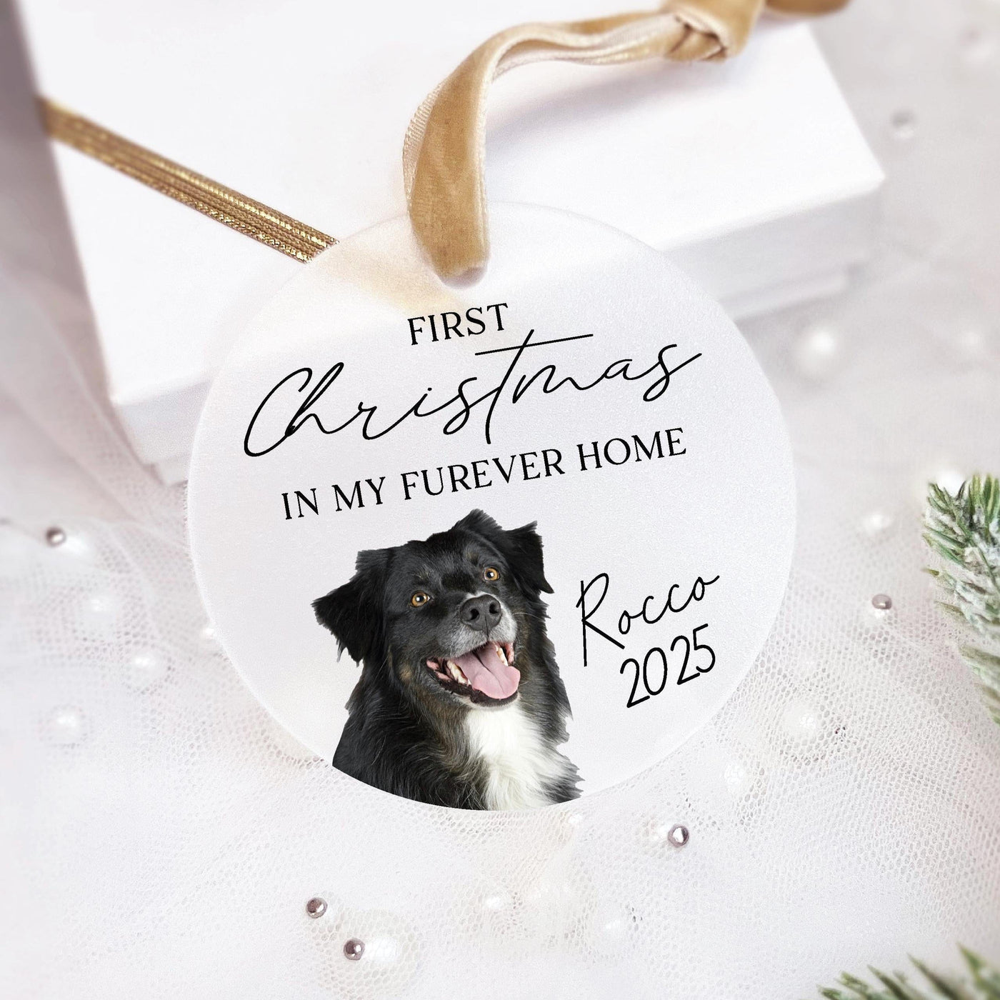 First Christmas in My Furever Home Ornament - Frosted