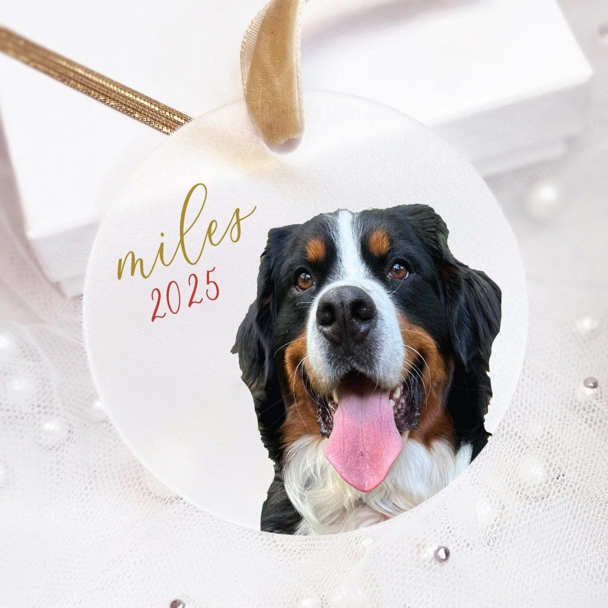 Custom Pet Photo Christmas Ornament