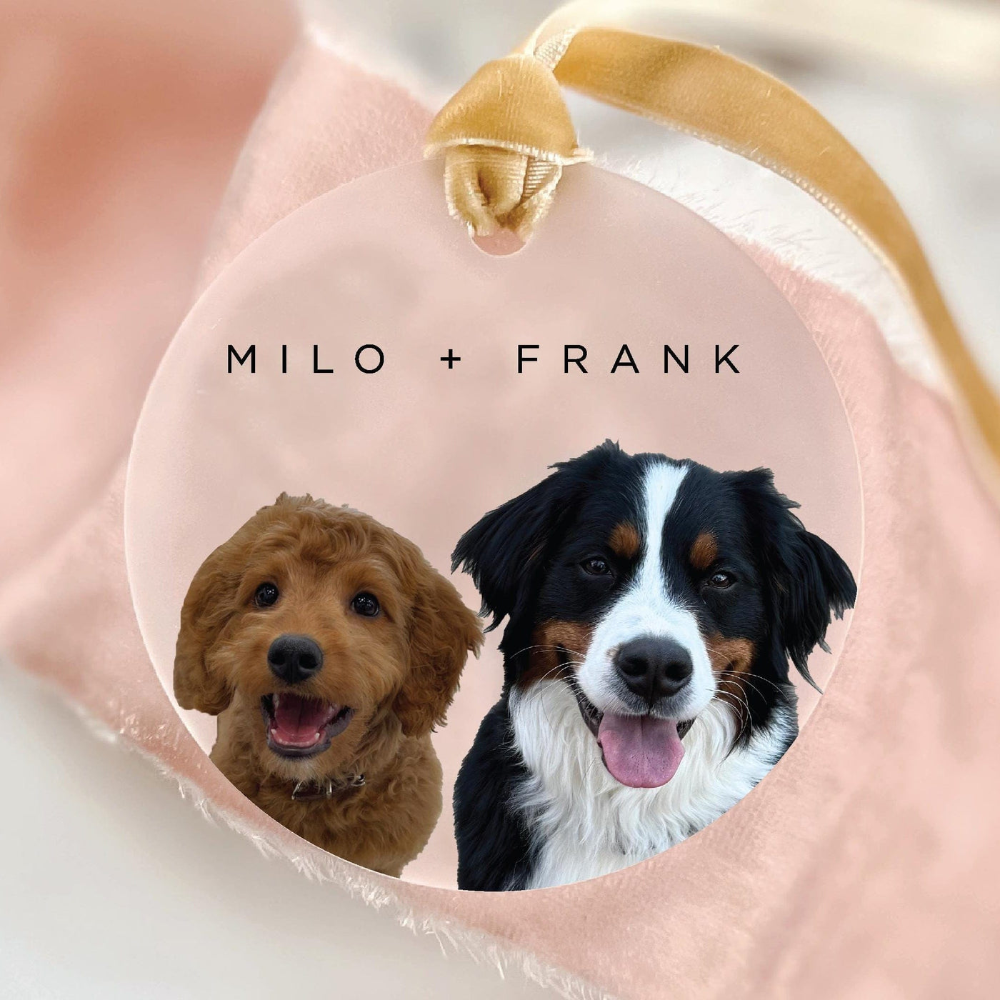Two-Pet Photo Frosted Ornament