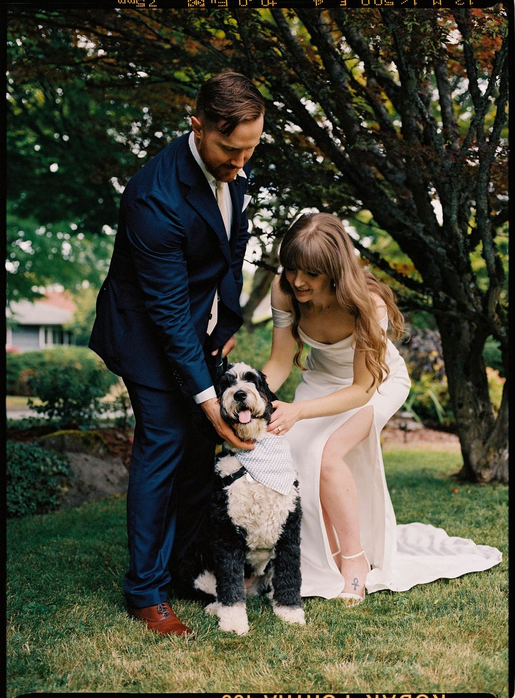 A newlywed couple in elegant wedding attire gently pets their black and white dog, who is wearing a stylish patterned bandana, in a green outdoor setting.