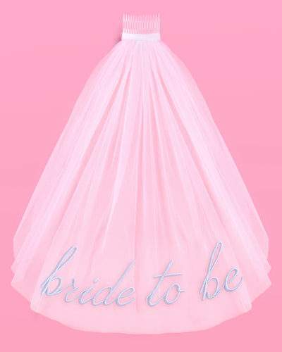 Something Blue Veil - embroidered tulle veil