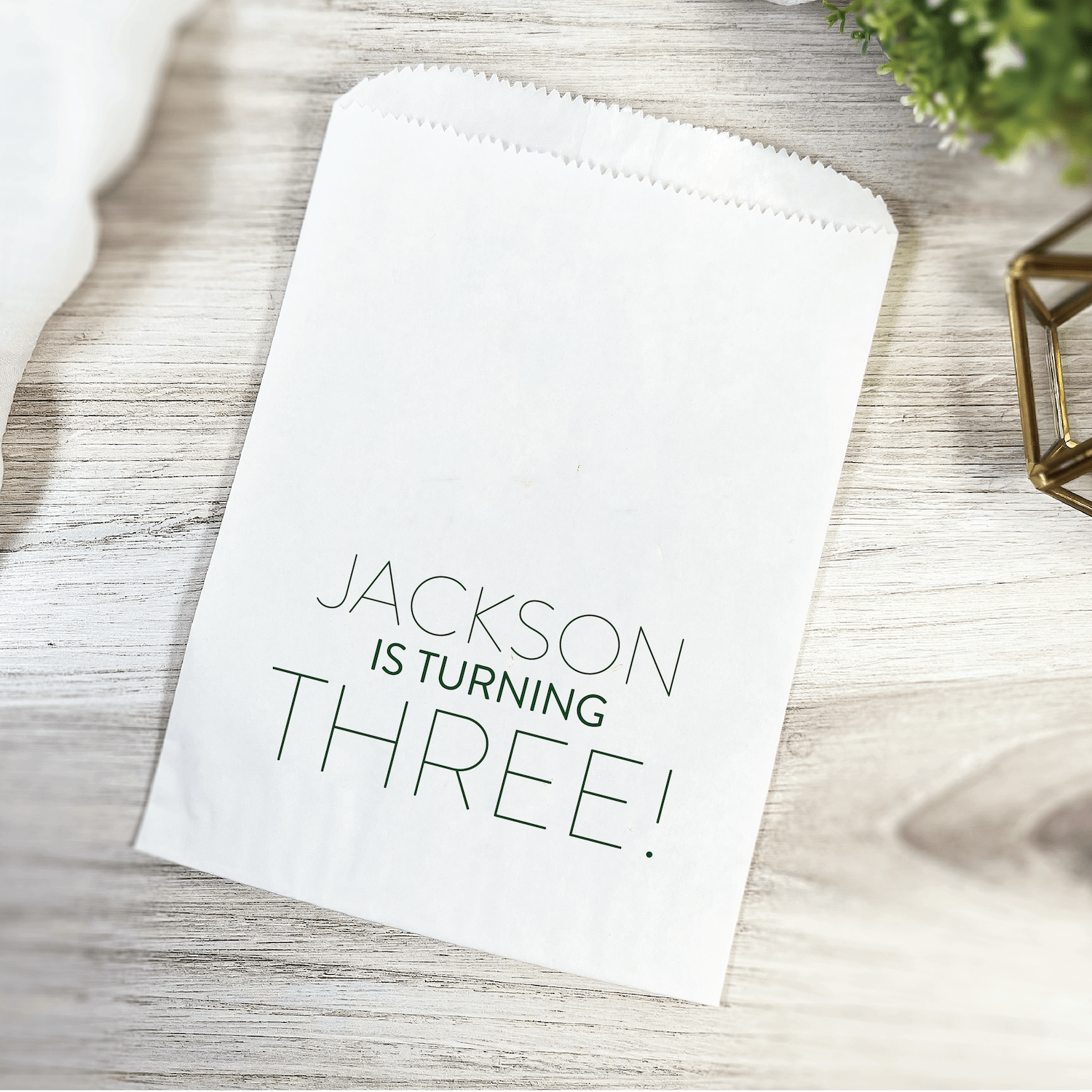 Bold Number Birthday Party Favor Treat Bags