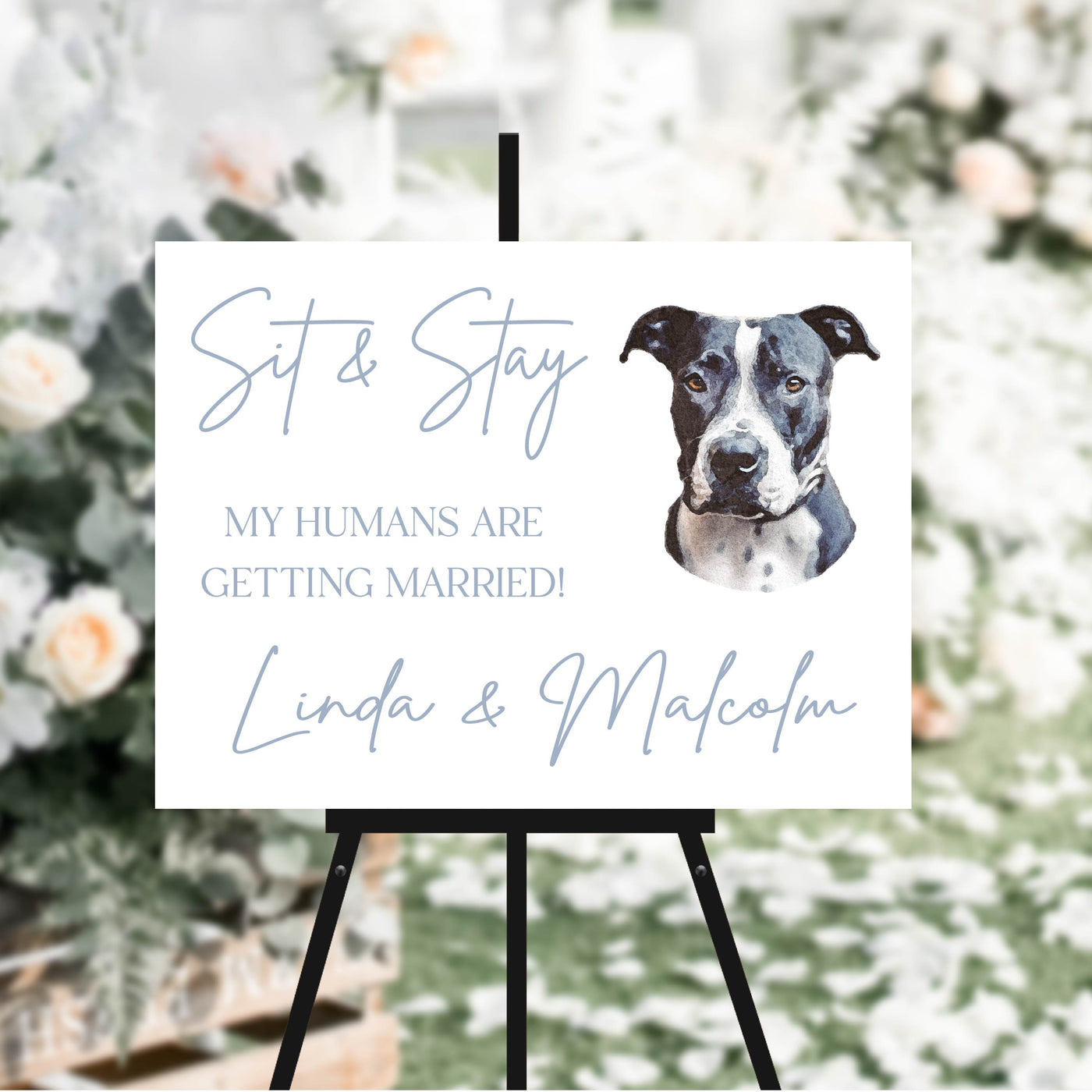 Sit & Stay Watercolor Pet Ceremony Sign - Landscape