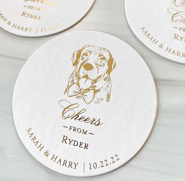 Custom Illustrated Pet Coasters - Coasters