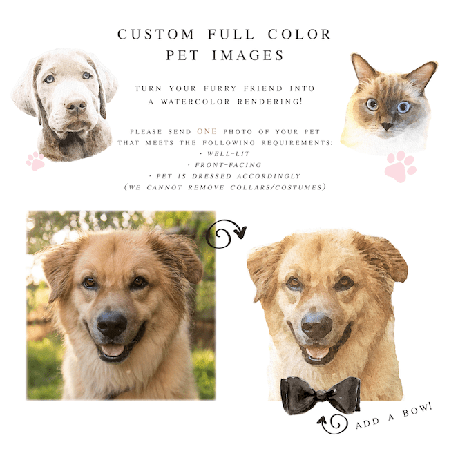 Digital Watercolor Rendering Pet Portrait - Artwork