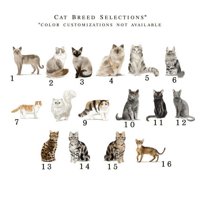 First Married Christmas Wedding Christmas Ornament - Ornament