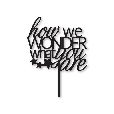 How We Wonder What You Are Acrylic Cake Topper